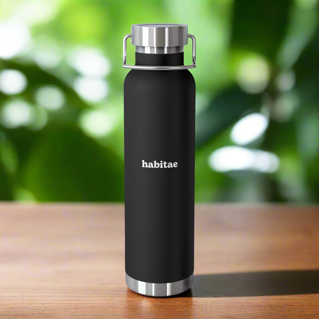 Insulated Bottle - Copper Finish, Reusable, 22oz Travel Tumbler