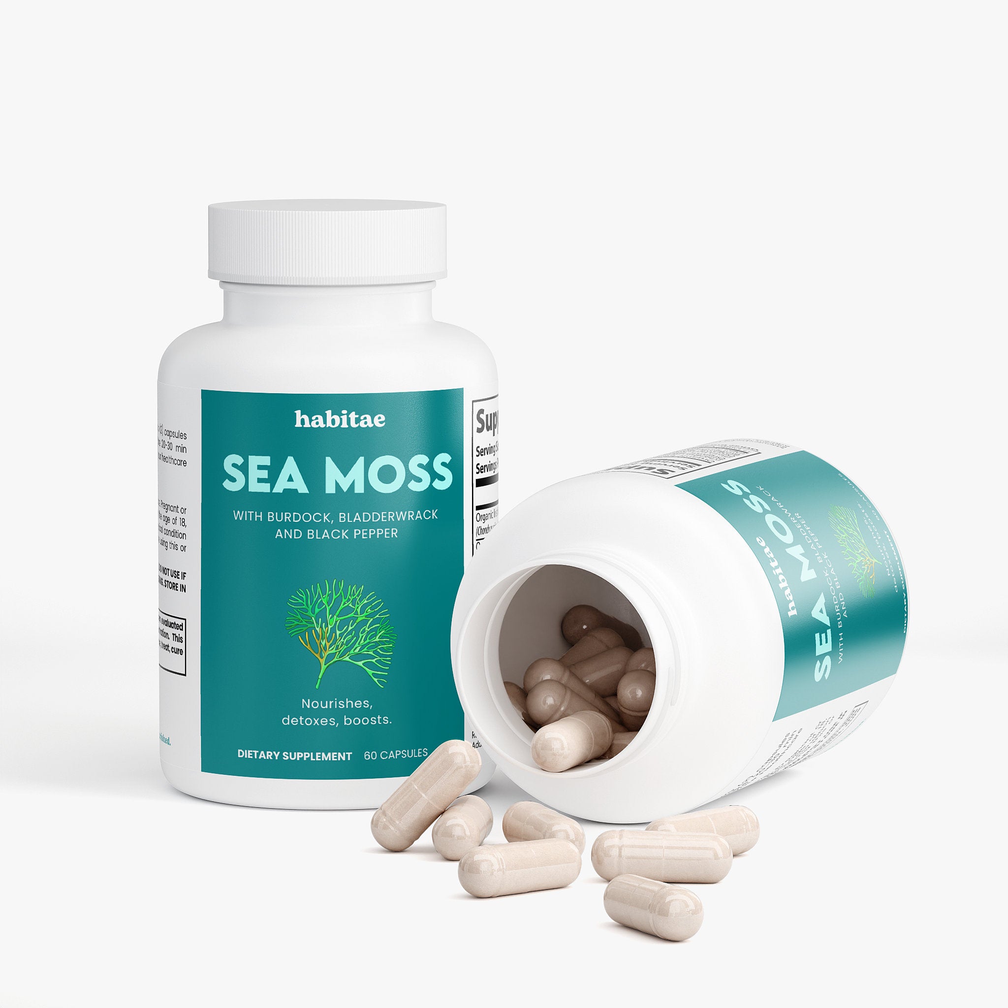 Sea Moss