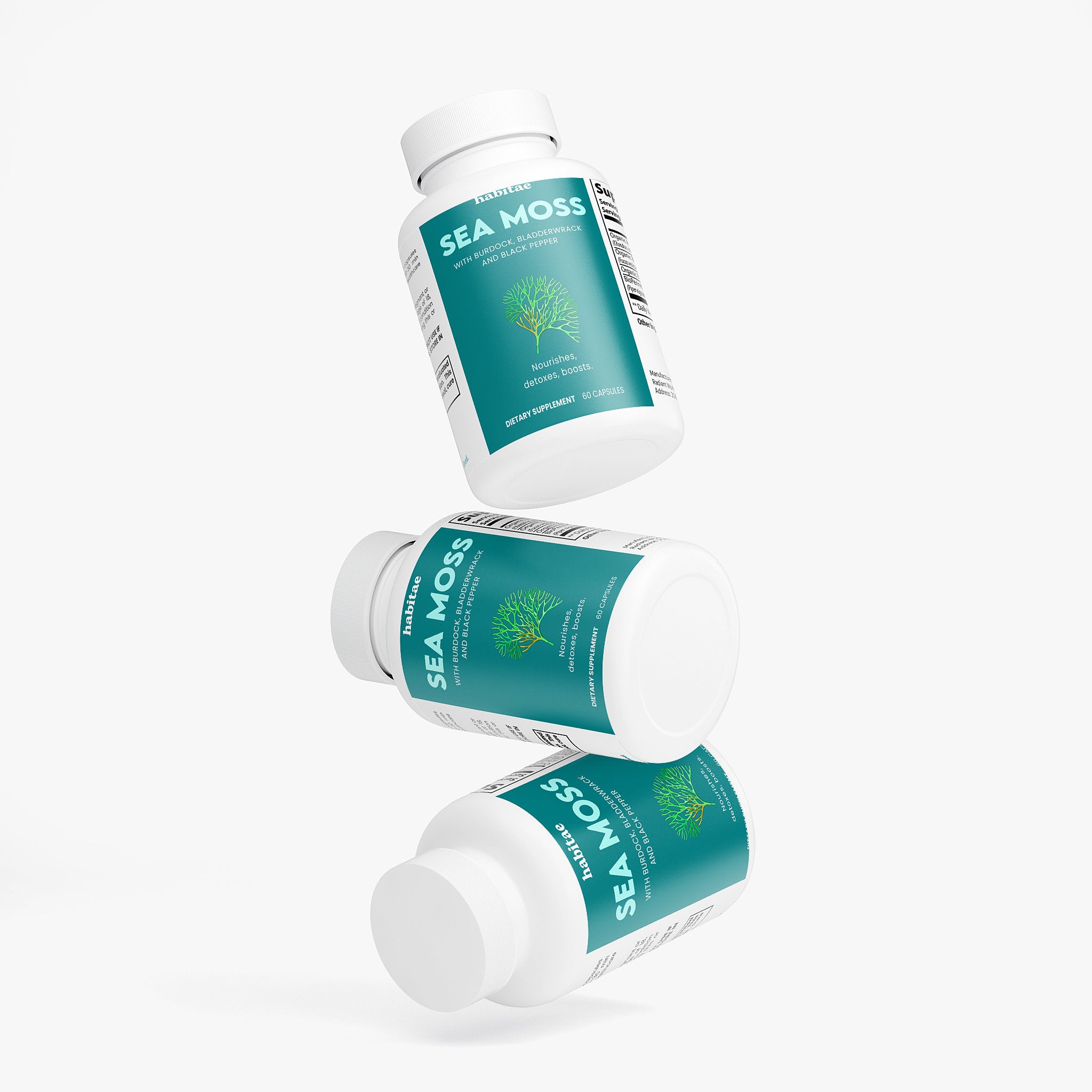 Sea Moss