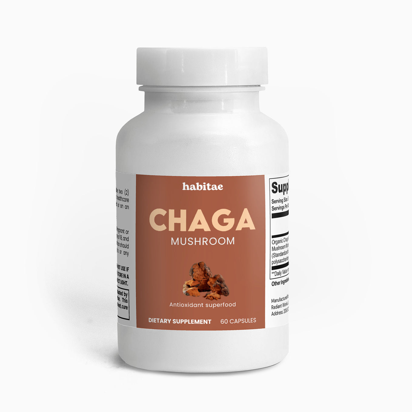 Chaga Mushroom