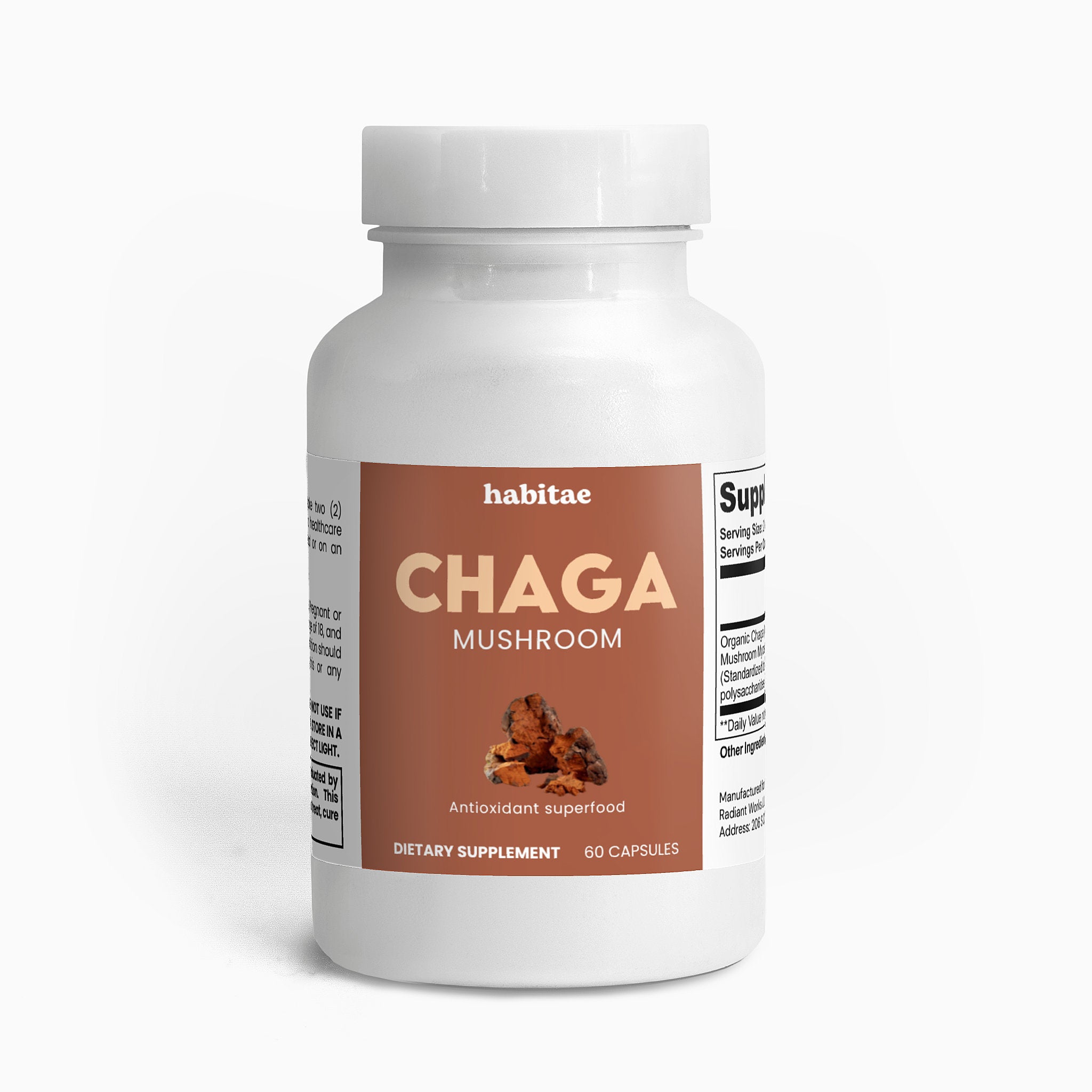 Chaga Mushroom