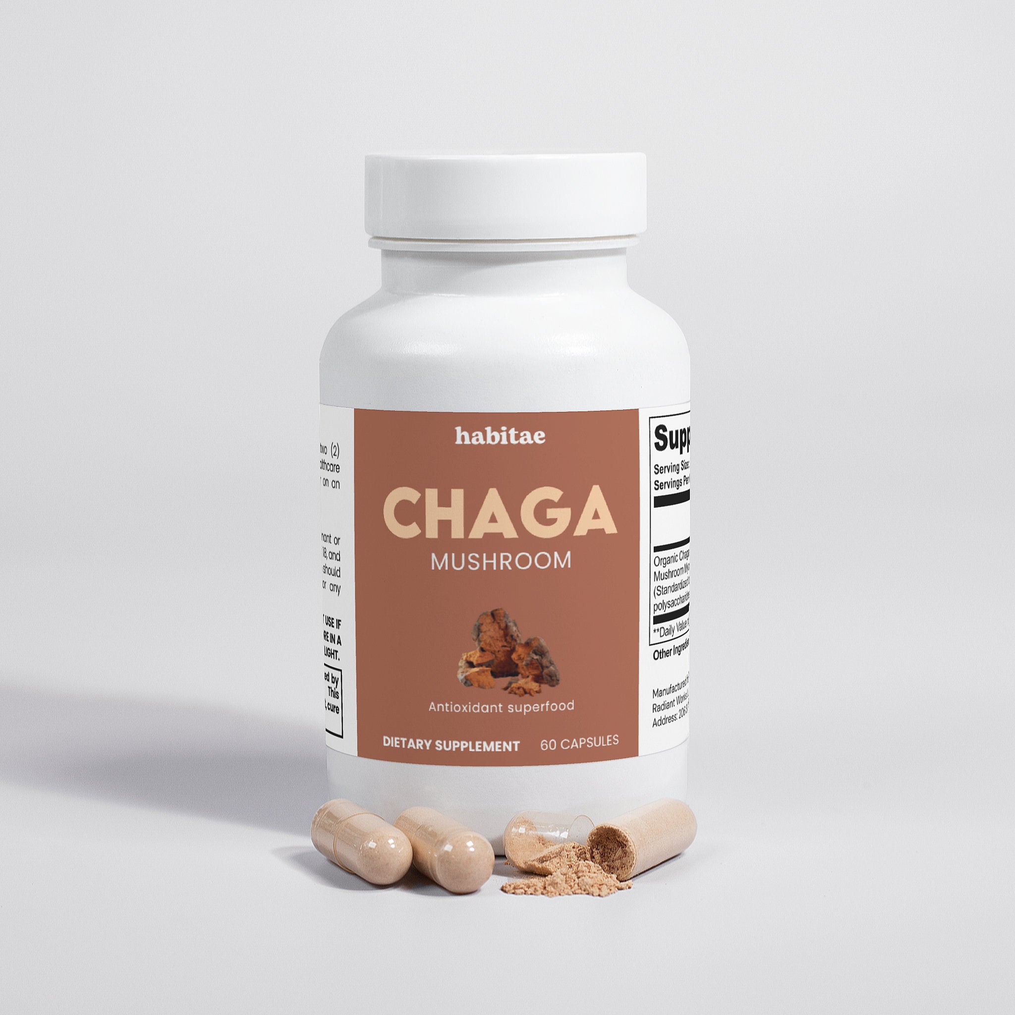Chaga Mushroom
