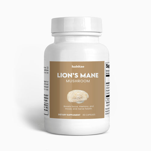 Lion's Mane Mushroom