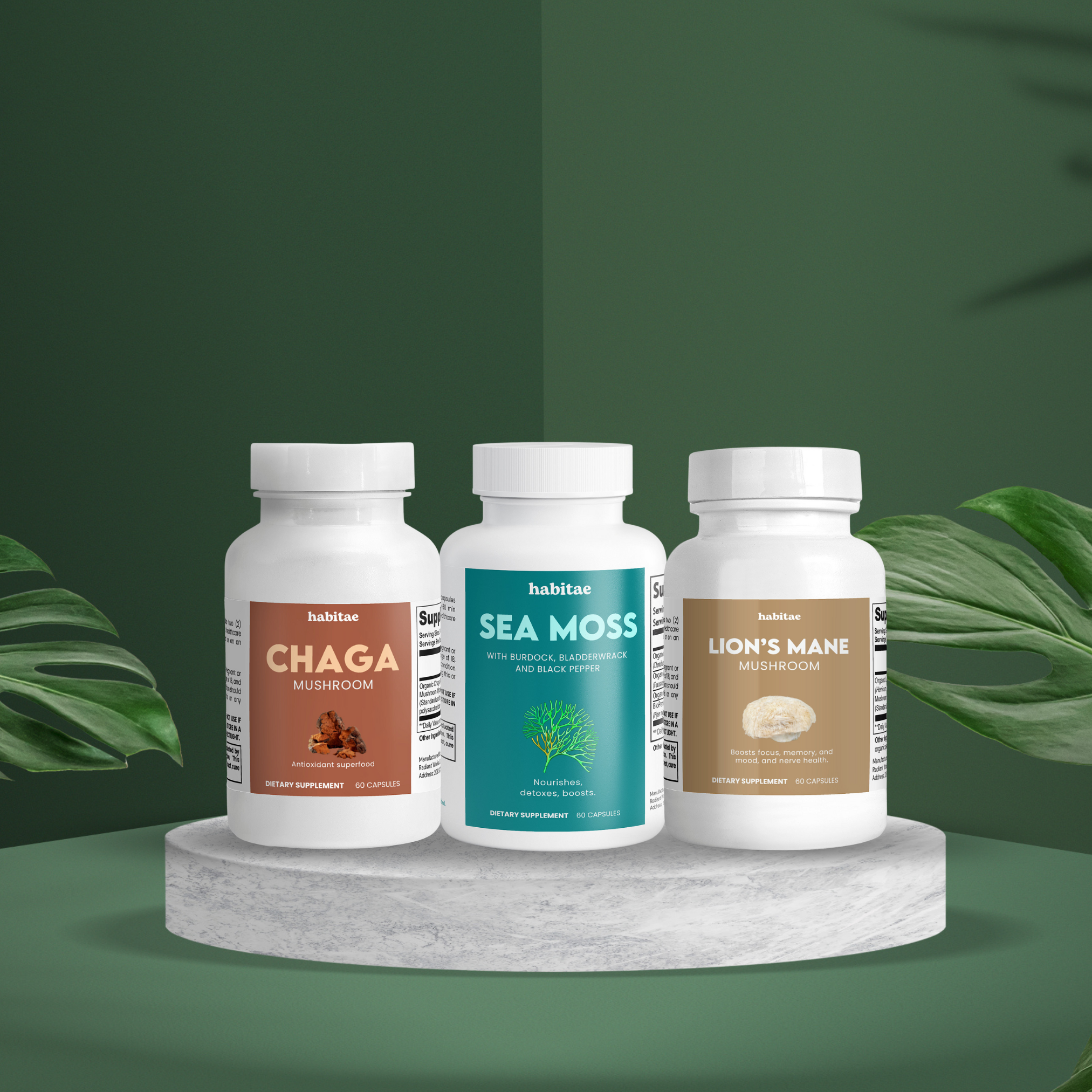 natural supplements, chaga sea moss, lion's mane mushroom blend, superfoods